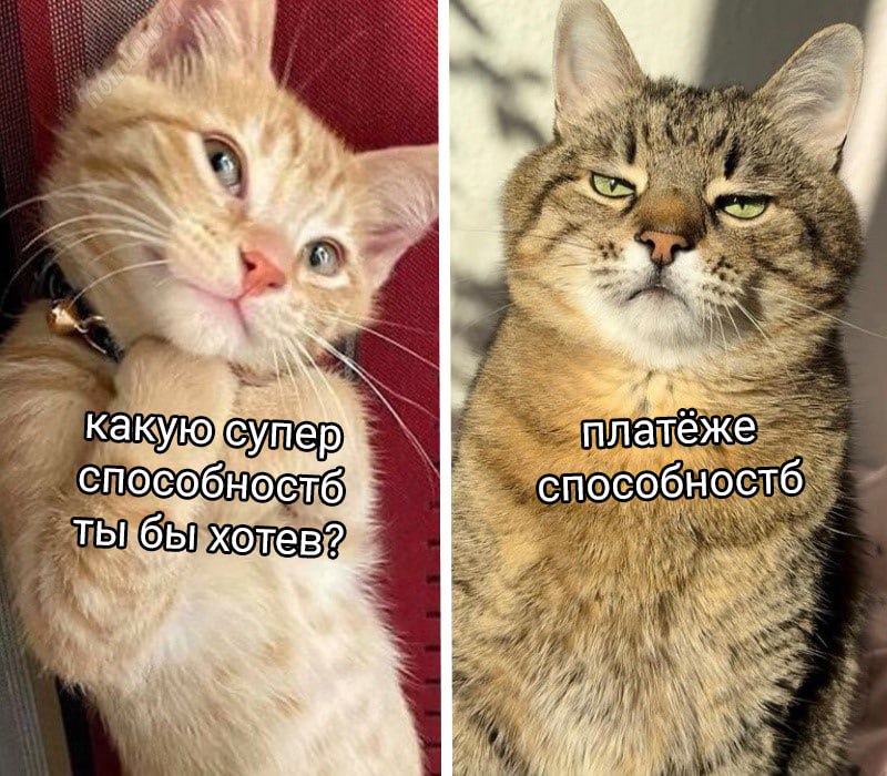 Superpower (c) Котицыд.jpg