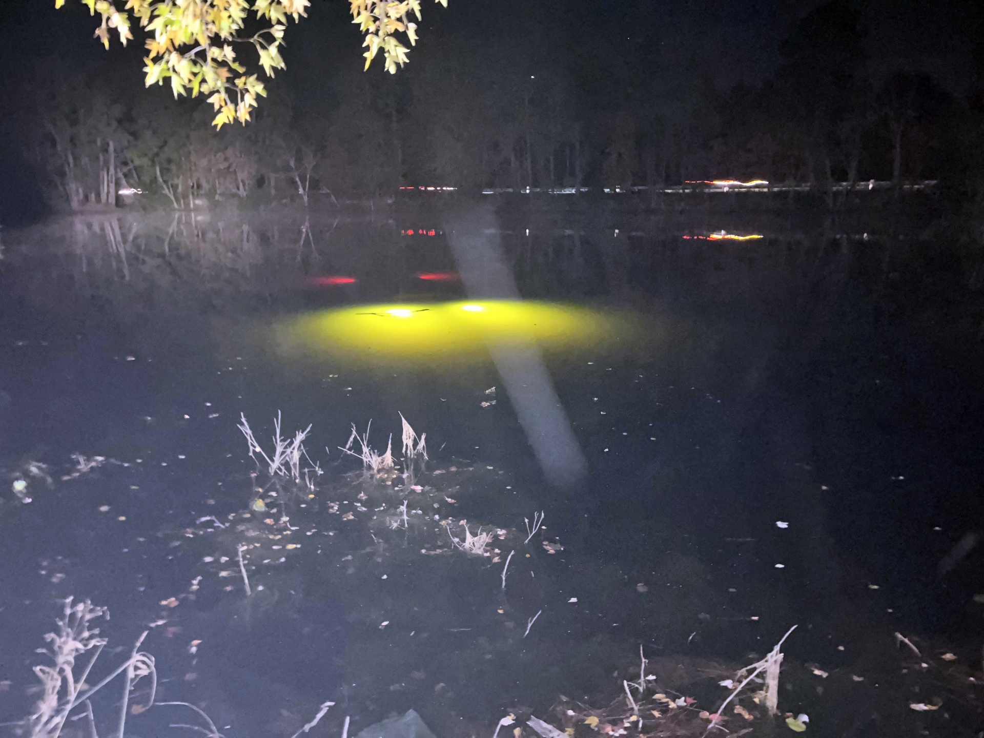 Friend lost his truck in a lake.jpeg