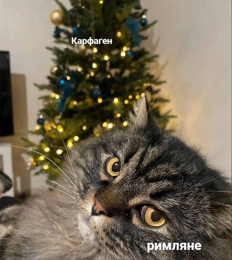 Ceterum censeo Carthaginem delendam esse (С) Котицыд.jpg