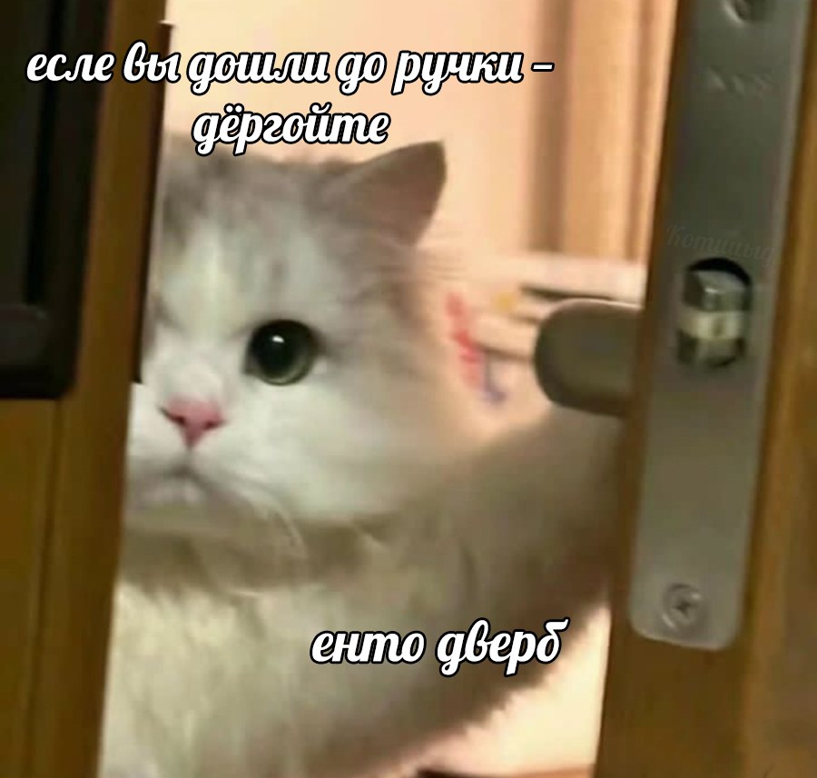 The Only Solution(С) Котицыд.jpg