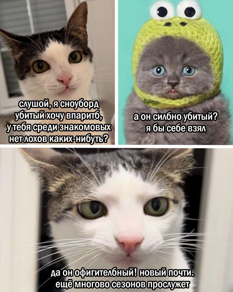 Bienaventurados los pobres en espíritu (С) Котицыд.jpg