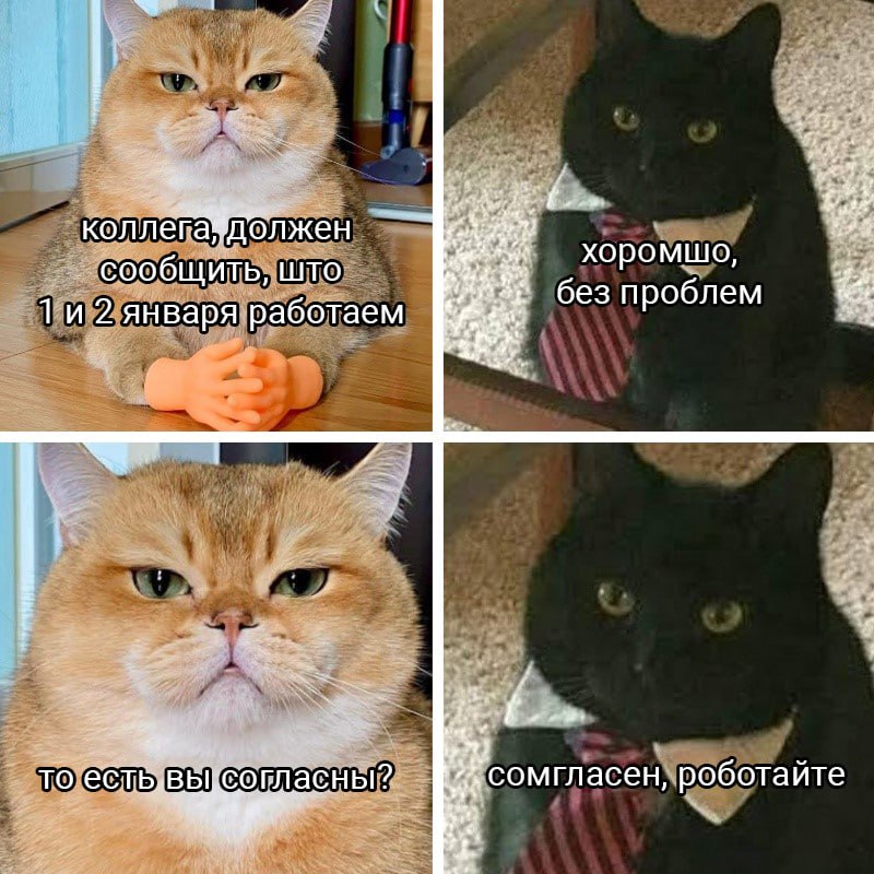 Working Weekend (С) Котицыд.jpg