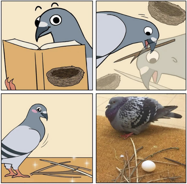 ng62lncflyae1.png