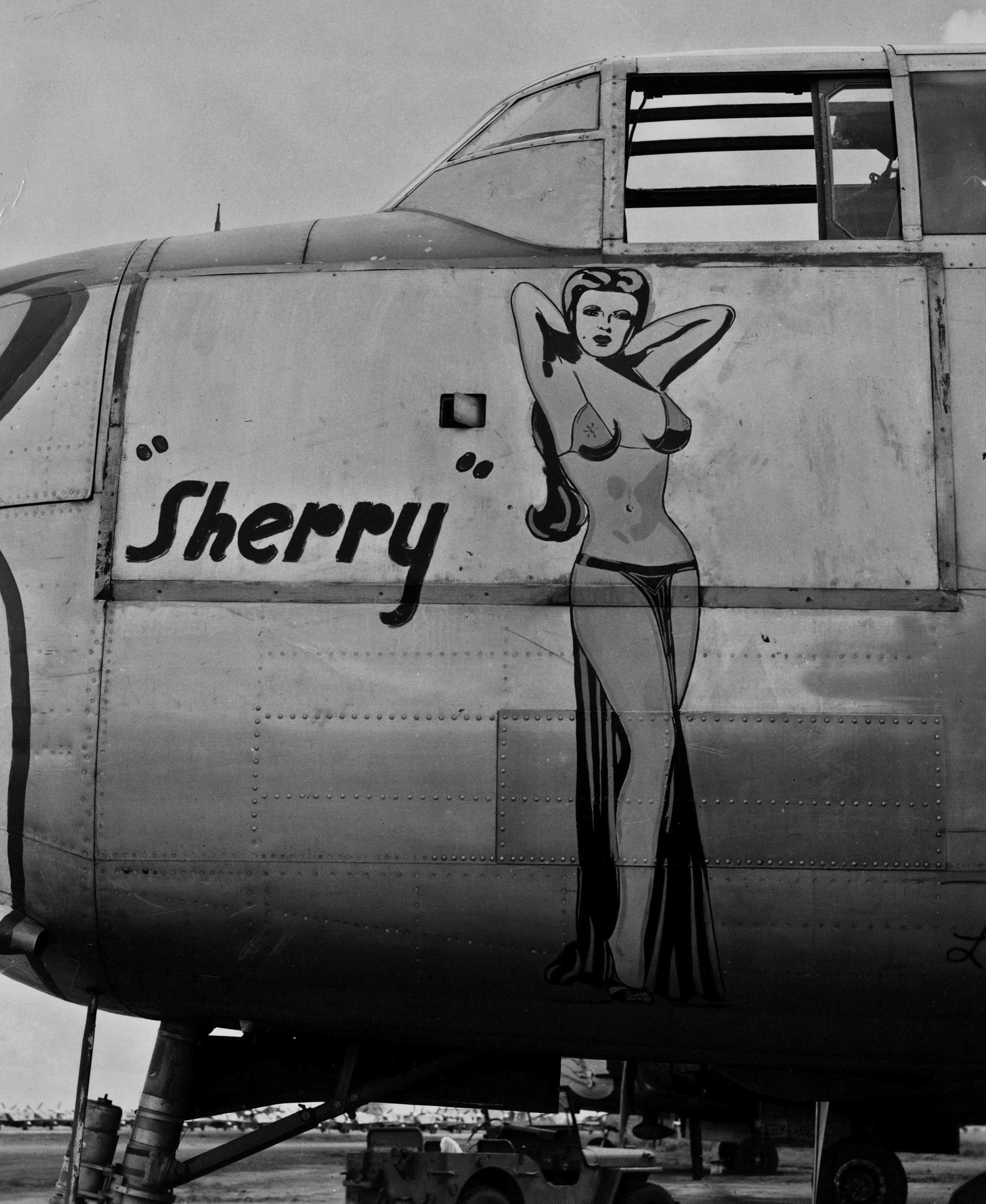 Burlesque dancer Sherry Britton, and the nose art she inspired on a B-25 Mitchell bomber - 1945.jpg