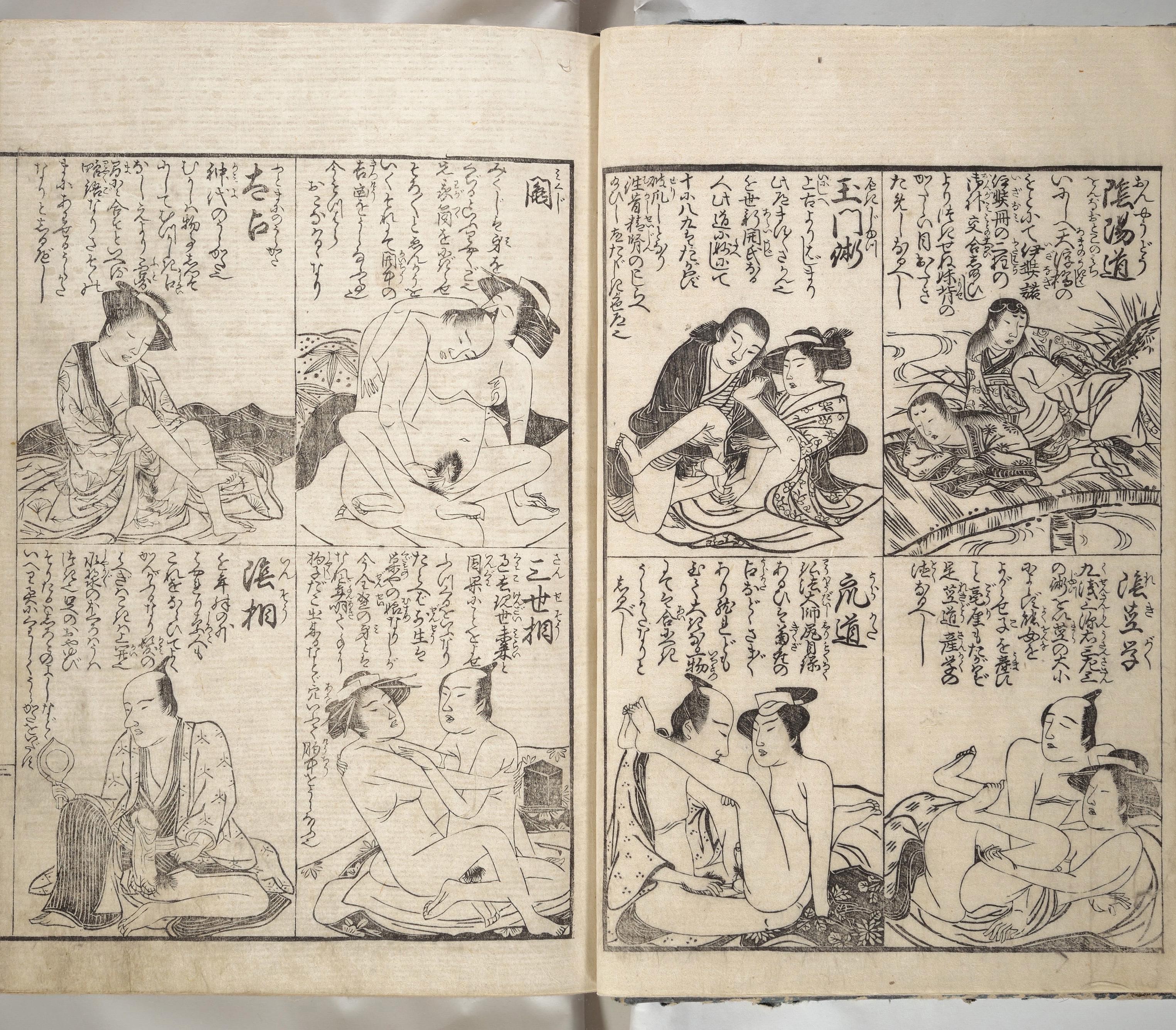 Guide to the Brothels of Osaka, by Kitao Shigemasa. Japan, Edo period, 1770.jpeg