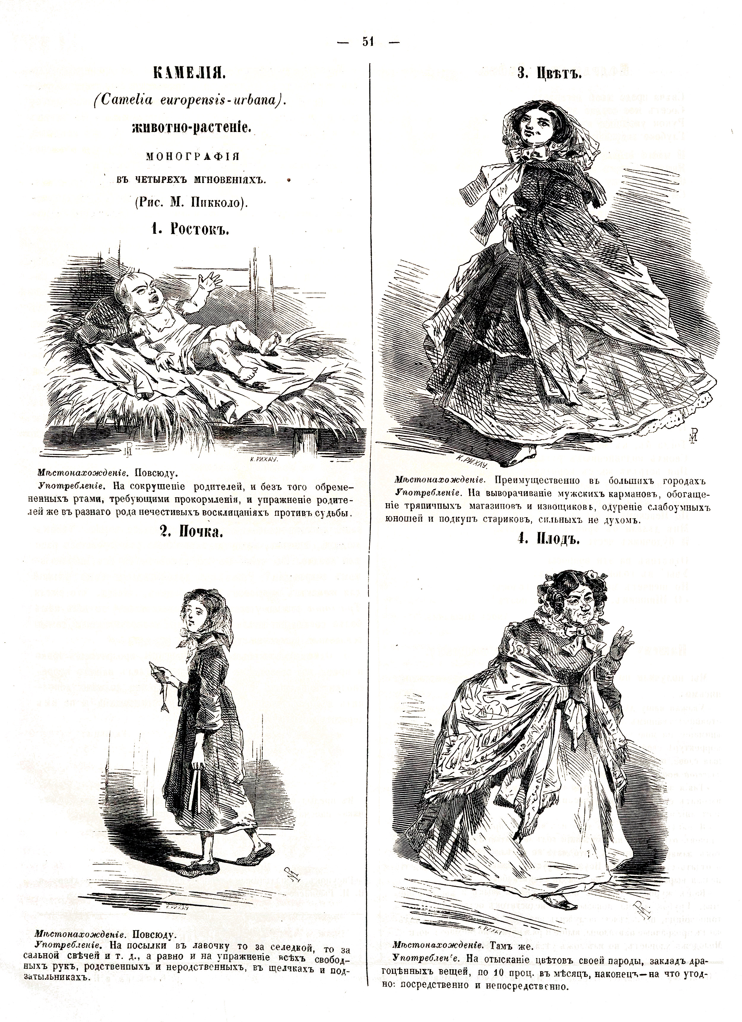Башилов М. С. Камелия. Рис. М. Пикколо; [гр.] К. Рихау. Развлечение 1860 № 4 (23 янв.), c. 51.jpg