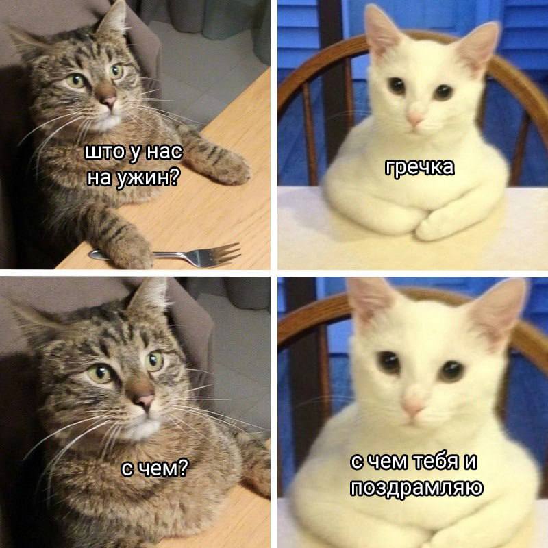 Congratulations (С) Котицыд.jpg