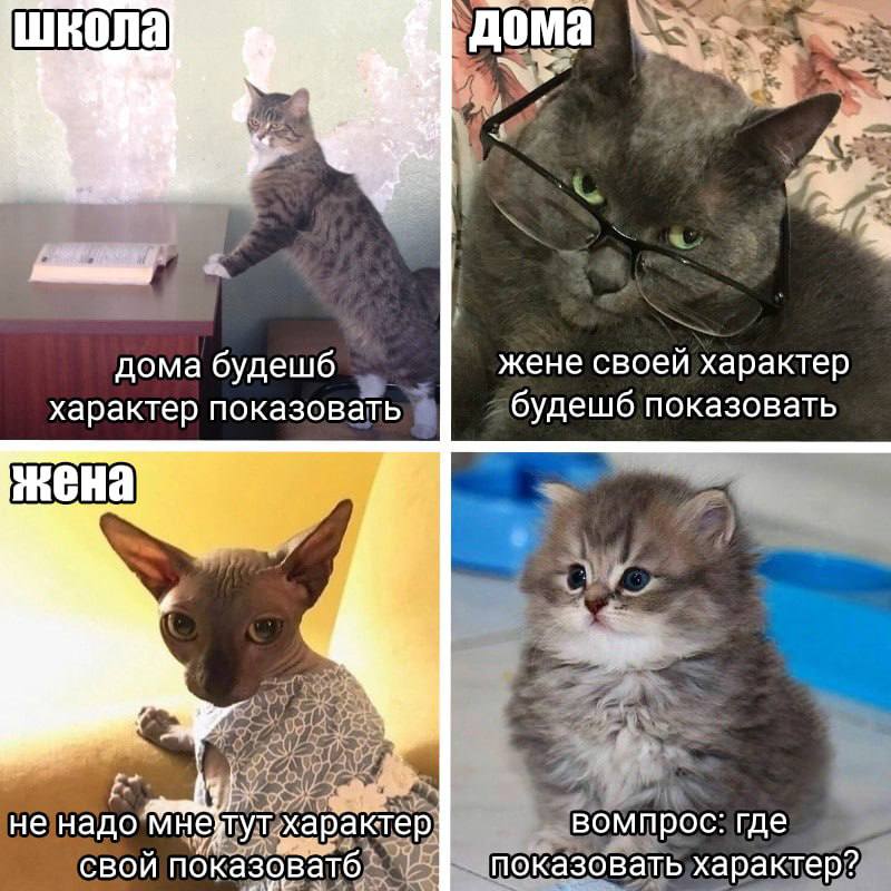 Showroom (С) Котицыд.jpg