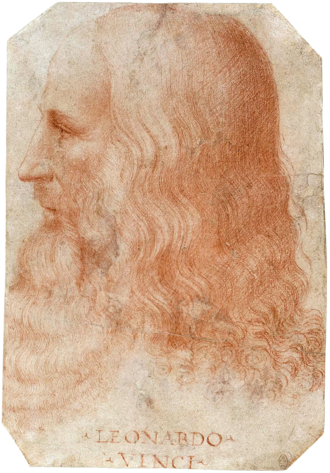 Francesco_Melzi_-_Portrait_of_LeonardoFXD2.jpg