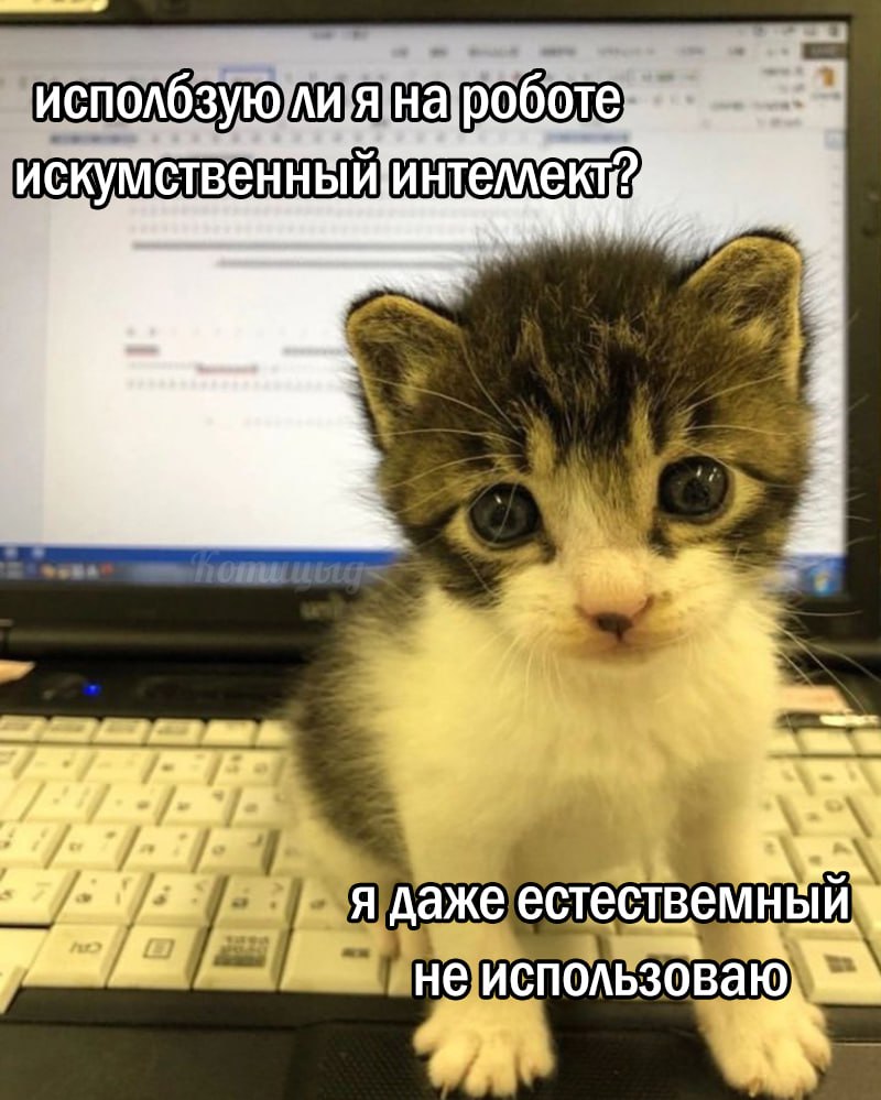 How it works(С)Котицыд.jpg