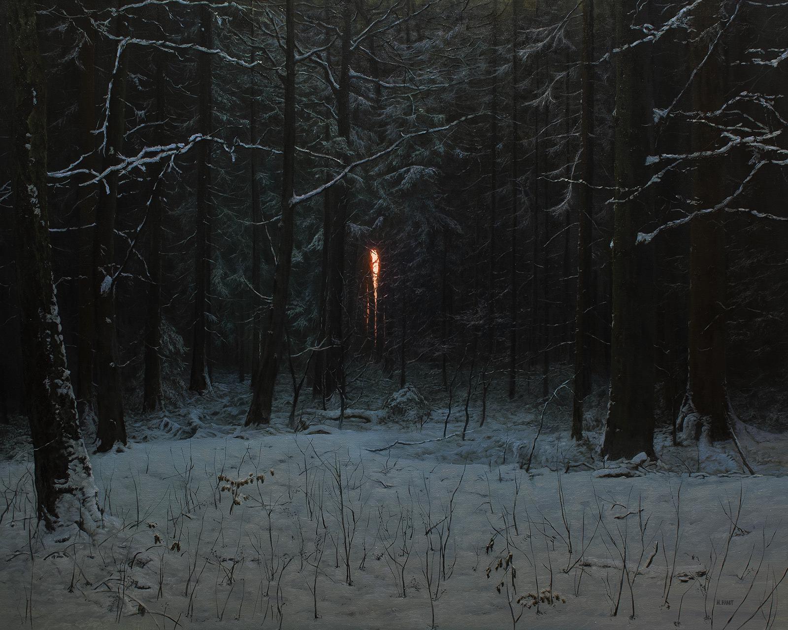Last Light in the Forest (2018), Michael Handt.jpeg