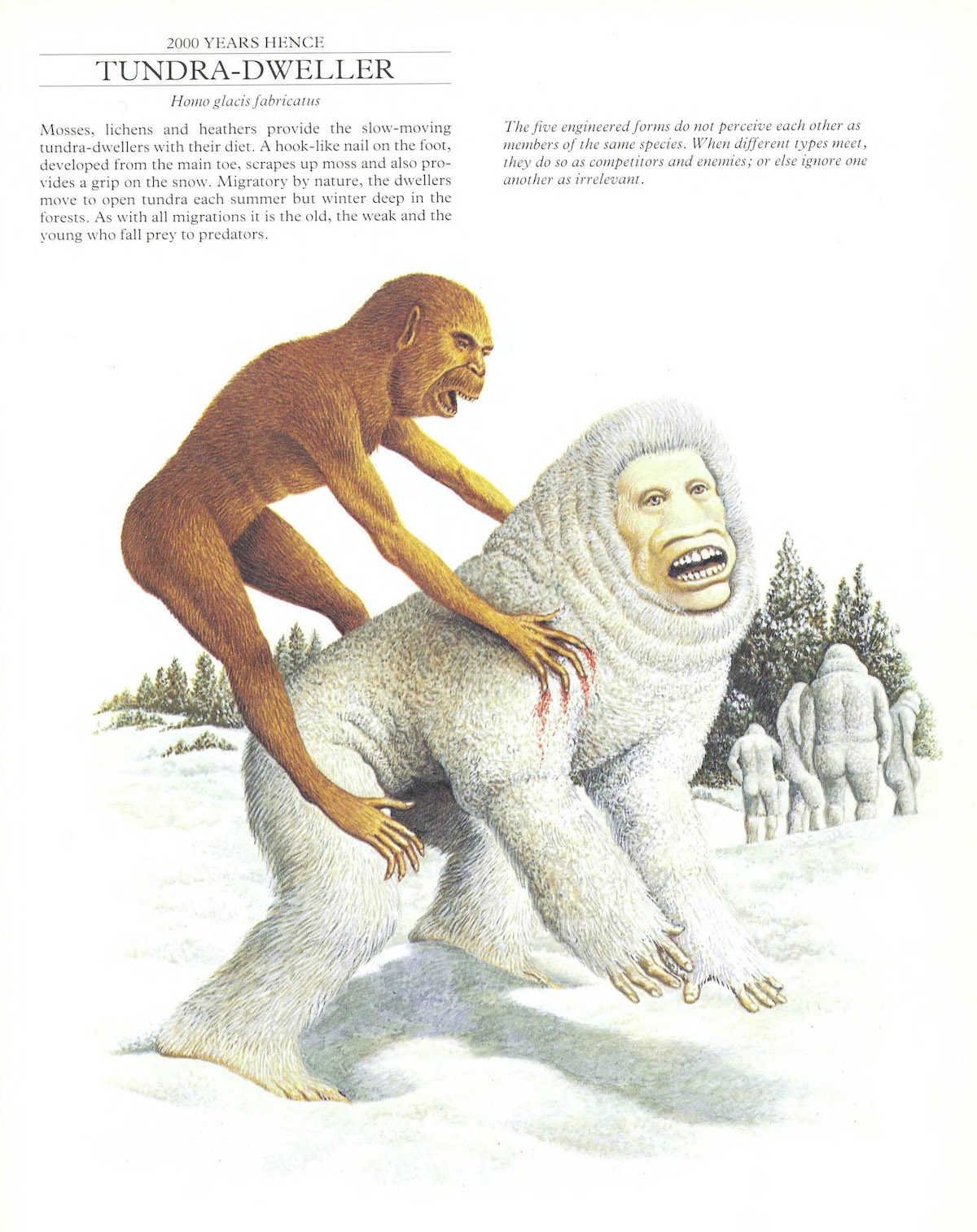 dougal-dixon-man-after-man-an-anthropology-of-the-future-1990-9_5222477185_o.jpg