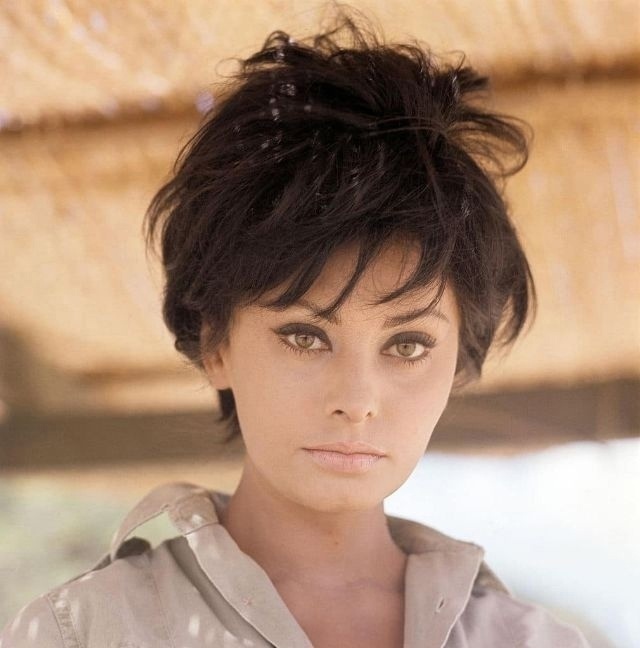 Софи Лорен, 1965.jpg