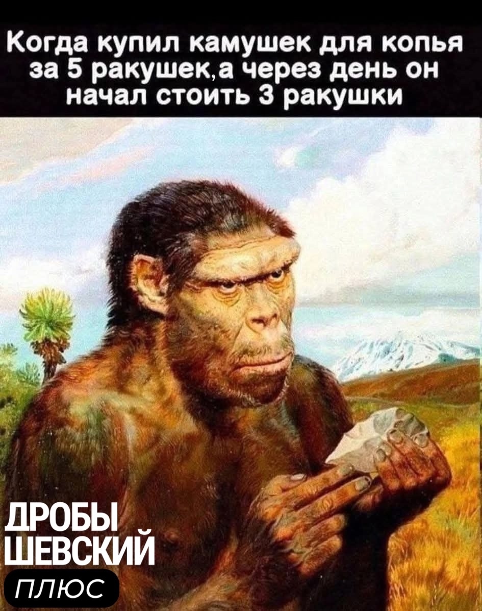 WQc3lEIbTQmXuZ.jpg
