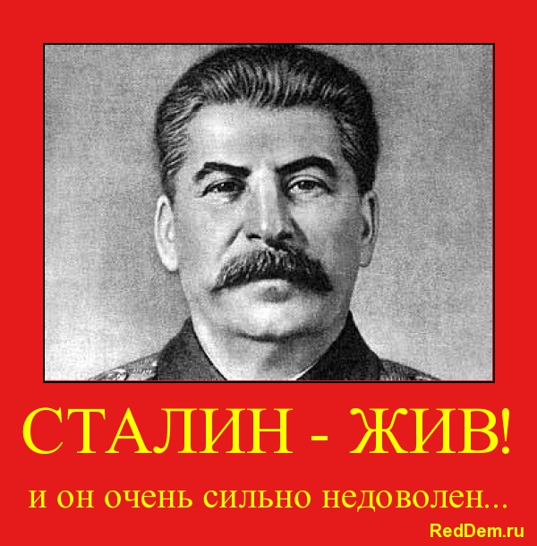 stalin.jpg