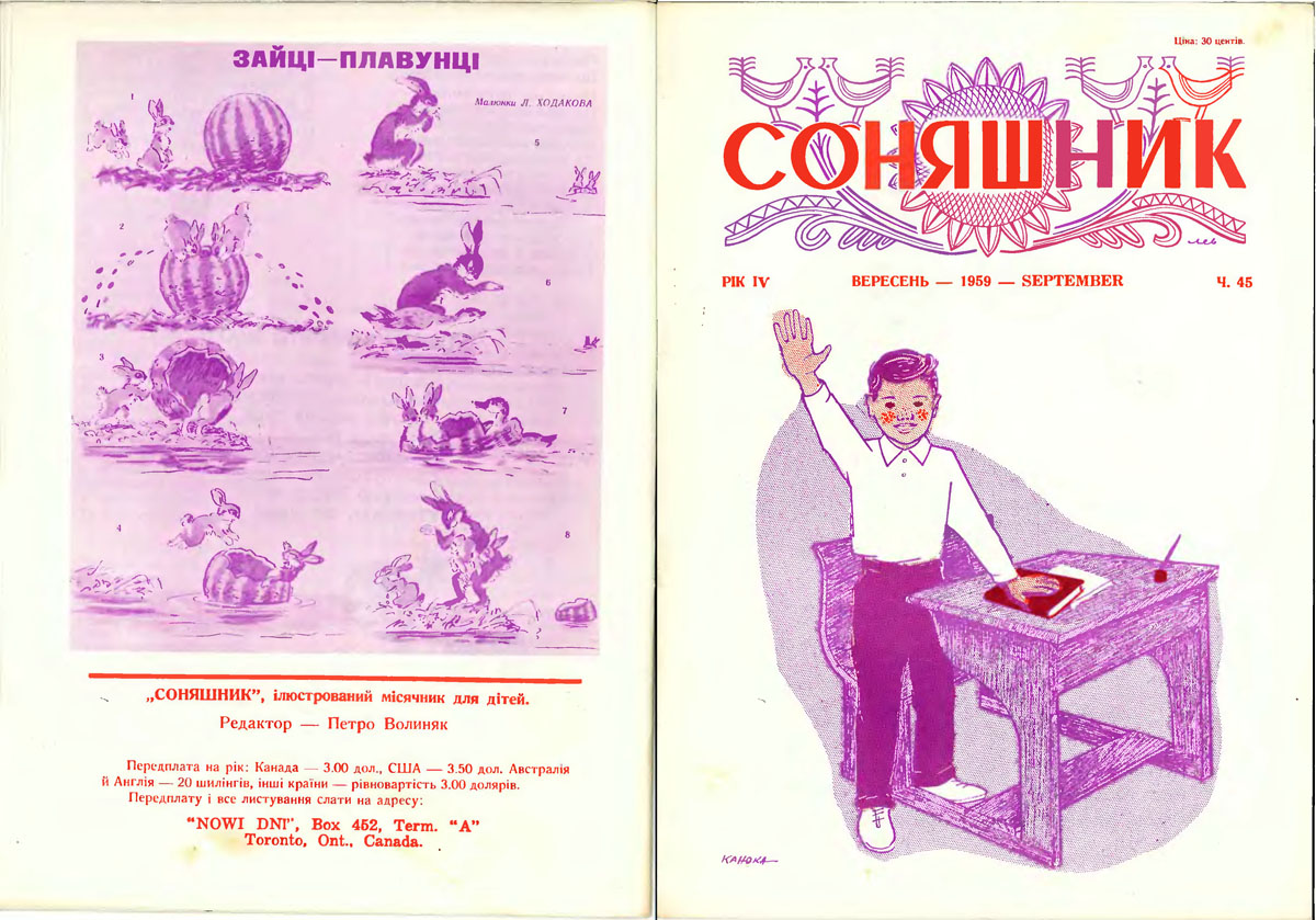 Соняшник.jpg